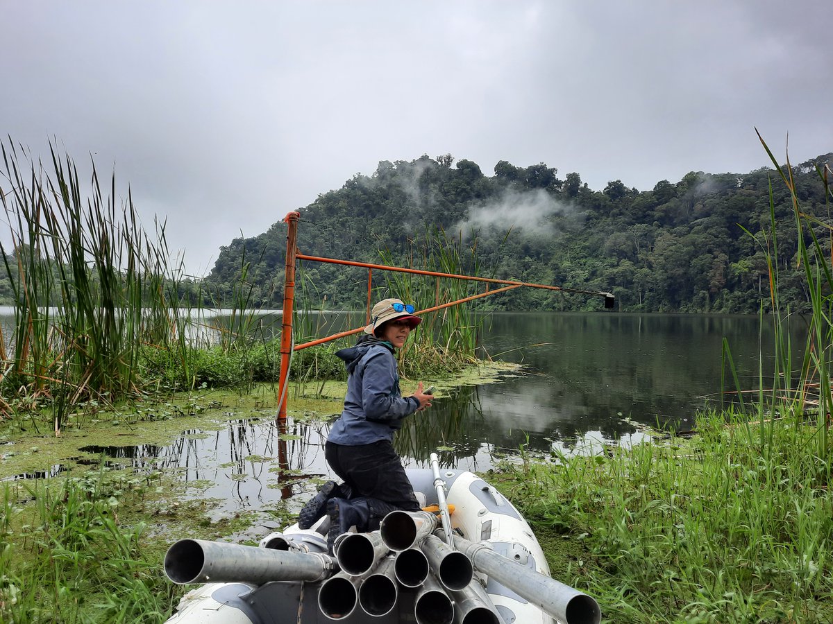 Felix Pym (@fcpym) on Twitter photo 🚨PODCAST ALERT🚨
Craving more? <a href="/PastTeller/">Dunia H. Urrego</a> and I had the privilege to be invited to talk with the talented host Alex Door about our research on the <a href="/MushroomRevival/">Mushroom Revival</a> #podcast 🍄 Listen now: 👇
Mushroom Revival - shorturl.at/eLT25
Spotify - shorturl.at/lBS47 🚨PODCAST ALERT🚨
Craving more? <a href="/PastTeller/">Dunia H. Urrego</a> and I had the privilege to be invited to talk with the talented host Alex Door about our research on the <a href="/MushroomRevival/">Mushroom Revival</a> #podcast 🍄 Listen now: 👇
Mushroom Revival - shorturl.at/eLT25
Spotify - shorturl.at/lBS47