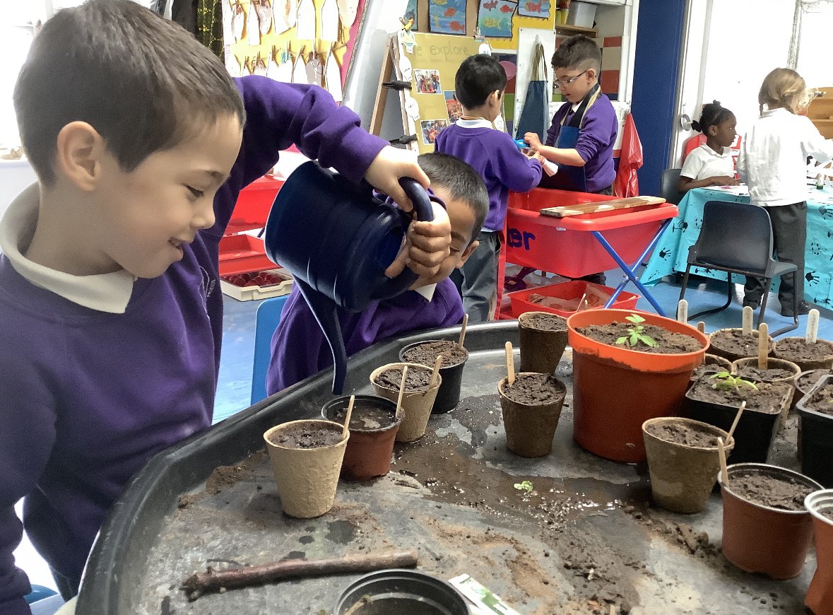 BenthalSchool's tweet photo. #Reception have been sowing #seeds over the last weeks. We have #tomato, #lettuce and #sweetcorn seedlings and are hoping for #kale, #cucumber, #courgette, #beans and flower shoots. https://t.co/LVBl8HIS8z
