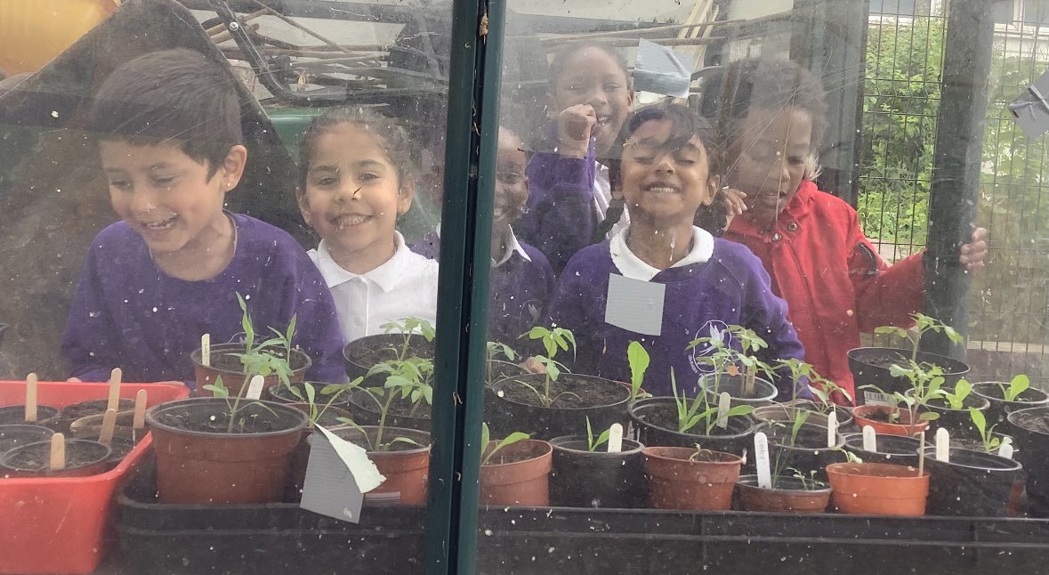 BenthalSchool's tweet photo. #Reception have been sowing #seeds over the last weeks. We have #tomato, #lettuce and #sweetcorn seedlings and are hoping for #kale, #cucumber, #courgette, #beans and flower shoots. https://t.co/LVBl8HIS8z
