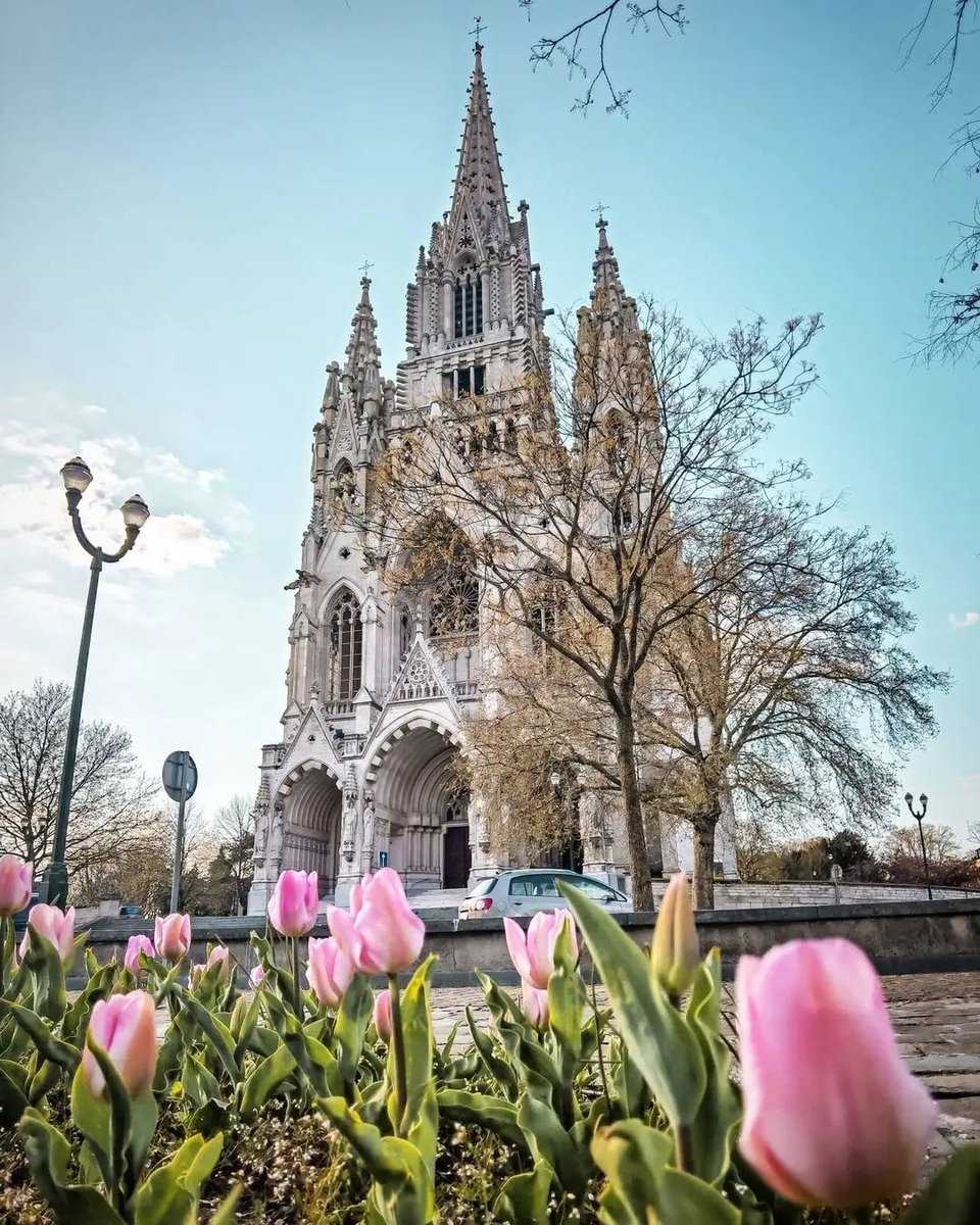 Our Lady of Laeken looking her best 🌷💙⁠
----⁠
📸 @instaofeurope⁠
📍 Church of Our Lady of Laeken⁠
Tag #visitbrussels to be featured⁠
----⁠
#spring #brussel #bruxelles #brussels #belgium #visitbelgium #welovebrussels #bxlmabelle #bxl #bxlove #architecture #springflowers