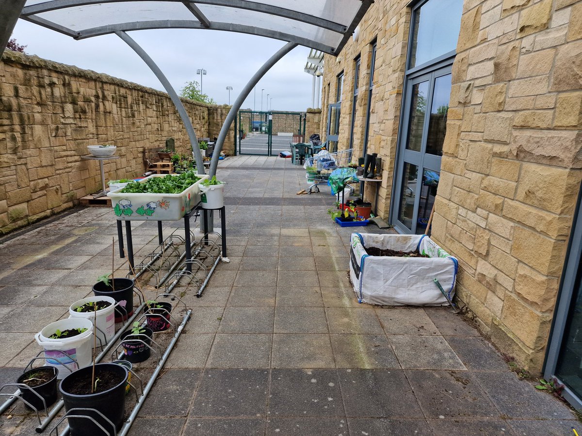 Dukes_AEN's tweet photo. The students from the ARC and nurture lunch club have enjoyed transforming an empty area of nothing into  small garden with Mrs Oakley. Where they are growing flowers and vegetables. The transformation in just 6 weeks has been phonomenal. https://t.co/wr3uf2QqyU
