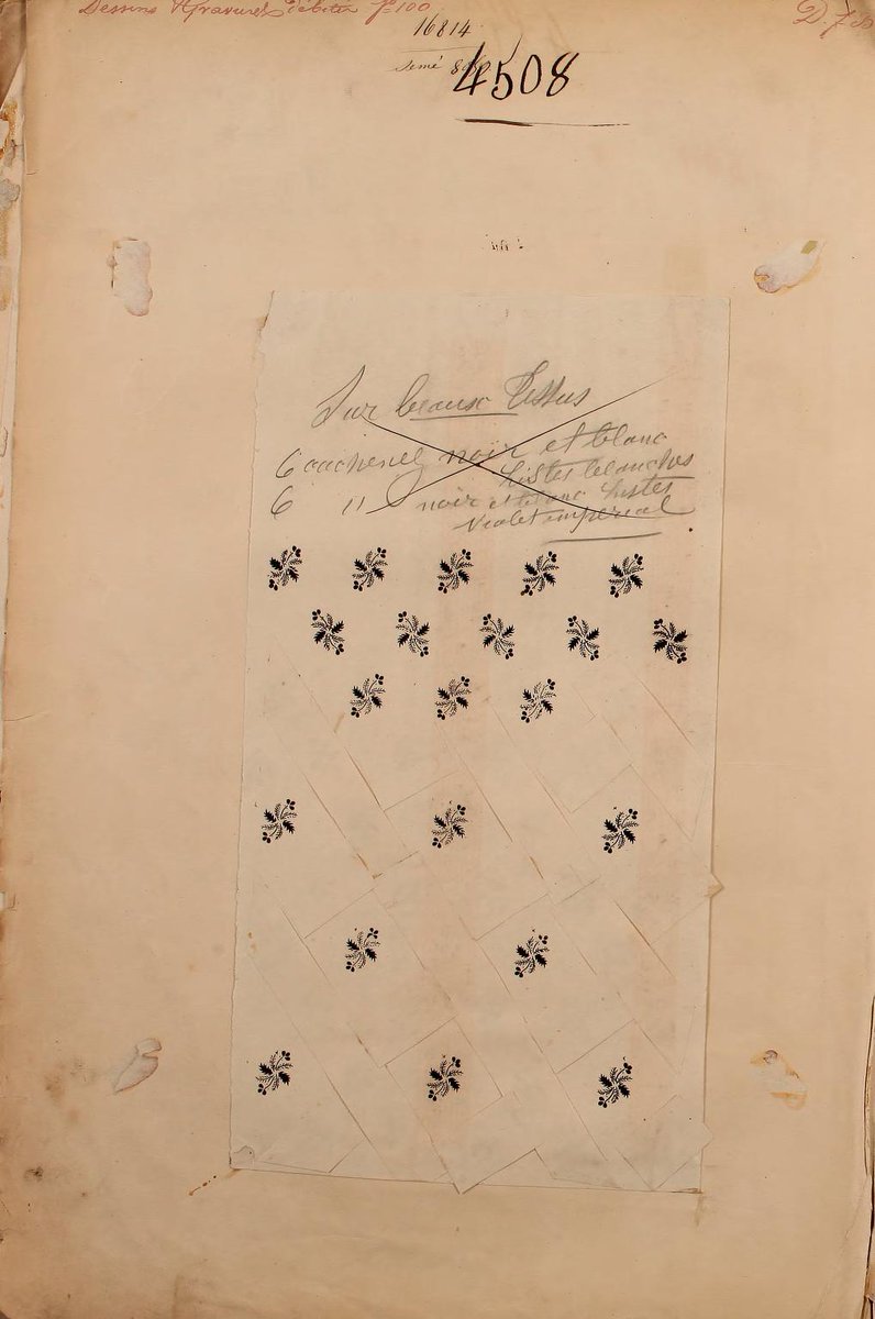 Paul Prudence tweet media