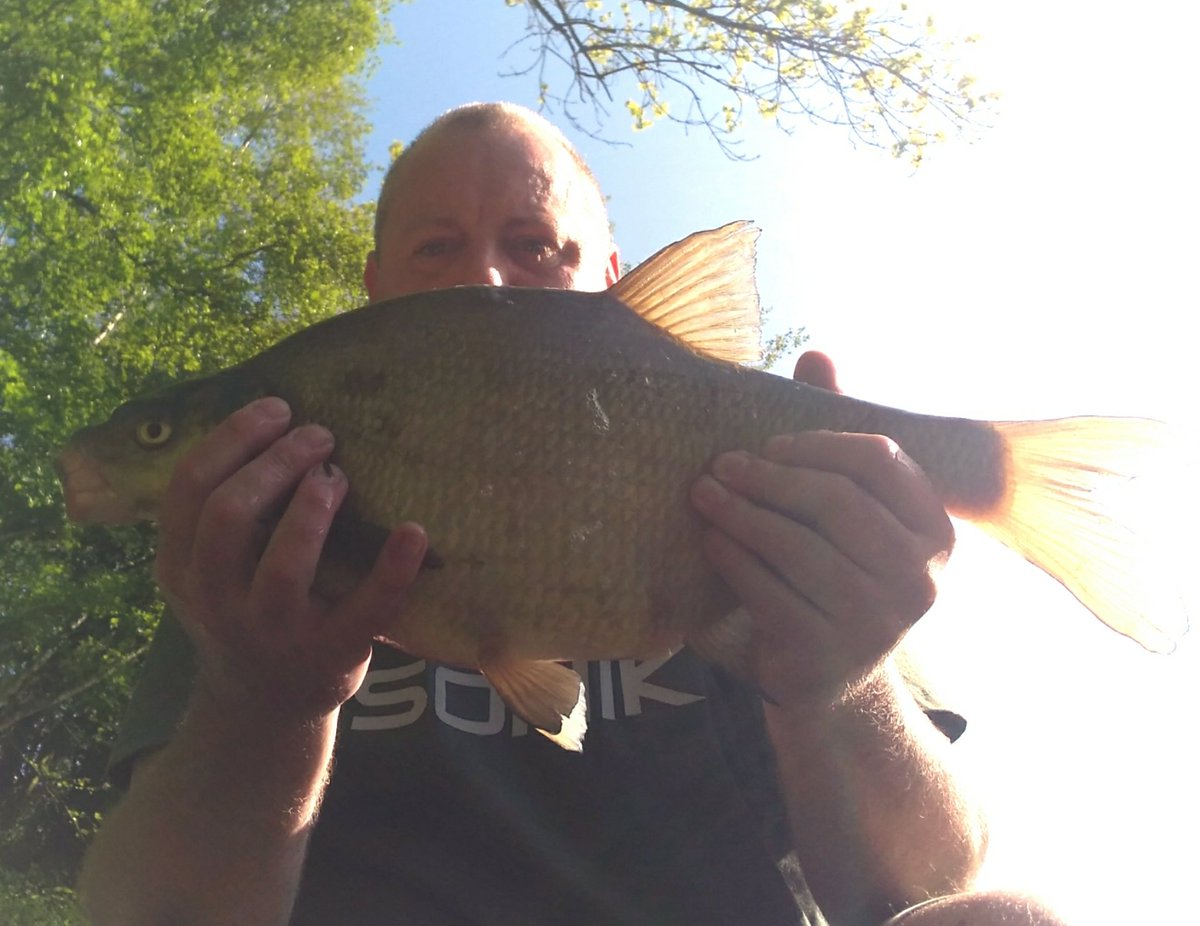 DarrenGuru's tweet photo. Bream sesh 🎣🐟🐟🐟🐟 https://t.co/j3jsBDqACH
