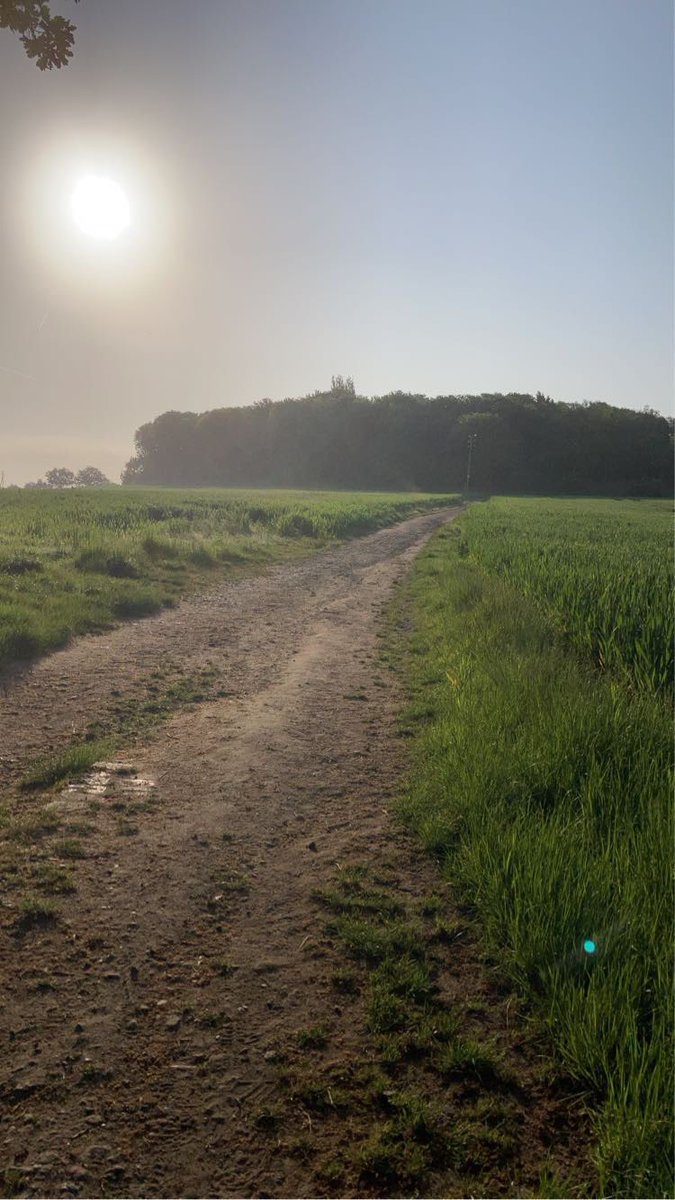 Matthew Riley tweet media