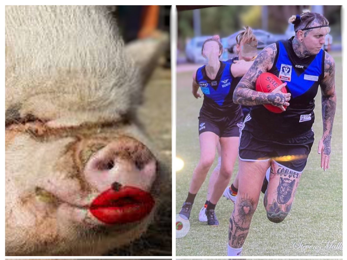 It takes a really special pig in lipstick to force himself on women...
#BlokeInLipstick #SaveWomensSports 
Get out of the women's VAFL MATE! You're as welcome as chlamydia...