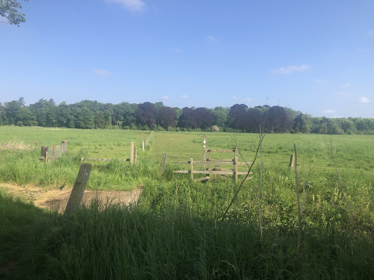 Nothing like a morning run with this view to clear the mind!