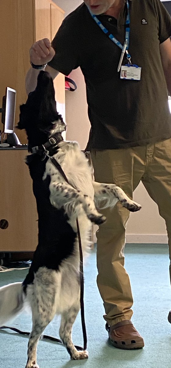 Specialist Services Breakfast Club 🍏🍎🍌🍇🥐🥞 with 17 staff understanding the world 🌍 of Freya our therapy dog in helping patients &amp; staff👍@drmandaluke @kandola8 <a href="/JessLievesley/">Jess AQL 🇺🇦 🏳️‍🌈 💙</a> <a href="/AlisonJBrandon/">Alison Brandon</a> <a href="/TileyHill/">Sarah Tiley-hill</a> <a href="/ClareSc78348774/">Clare Scott</a> <a href="/nataliefox123/">Natalie Fox</a> <a href="/MindCharity/">Mind</a> <a href="/NHSEnglandLDN/">NHS London</a> @BEHMHTNHS