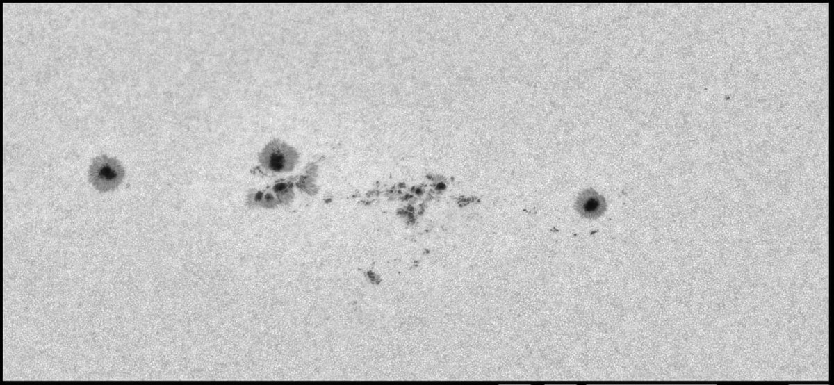 Josep_Trigo's tweet photo. EL GRUP DE TAQUES SOLARS enregistrat per Albert Sànchez des de l'Observatori de Gualba #MPC442, #Catalunya el dimecres passat, dia 24. Va fer servir un refractor ED 115 Vixen a f27+continuum filter+ ASI 183mm camera
(La protuberància és anterior: abril) https://t.co/MsMfmDrI7F