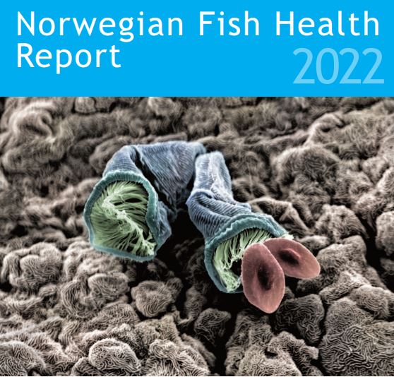 English versjon of the Norwegian Fish Health Report is now published shorturl.at/agsY9
