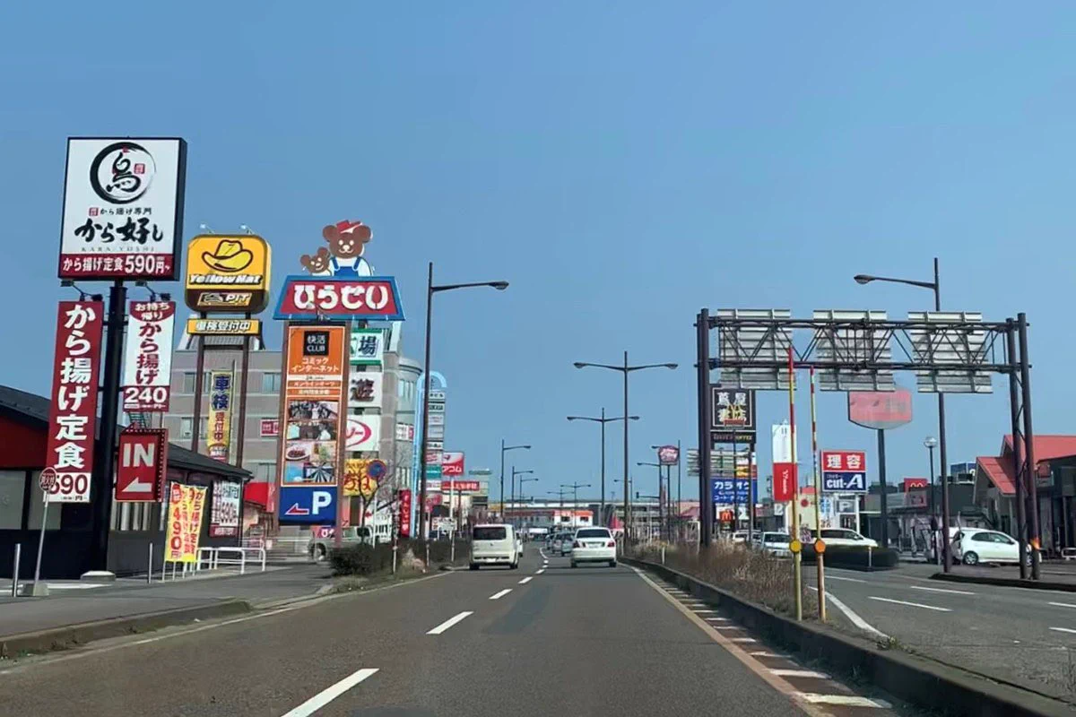 日本の田舎の国道沿いはマジで全部これだよな コピーアンドペーストしたかのように同じ
