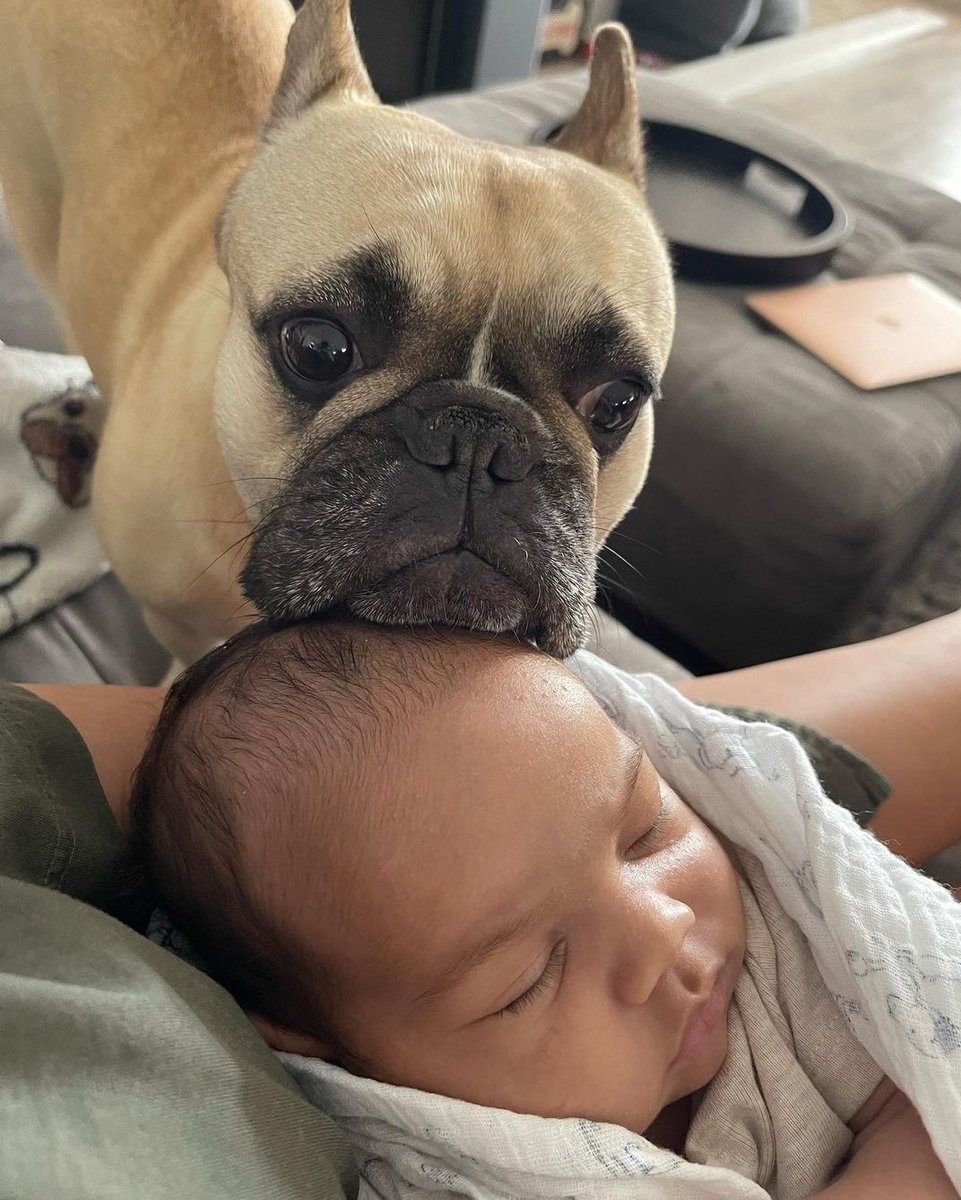 Buddies 💛💙 #buddies #babylove #frenchie #frenchbulldog #frenchiesofinstagram #dogsarefamily #dog #dogandbaby...