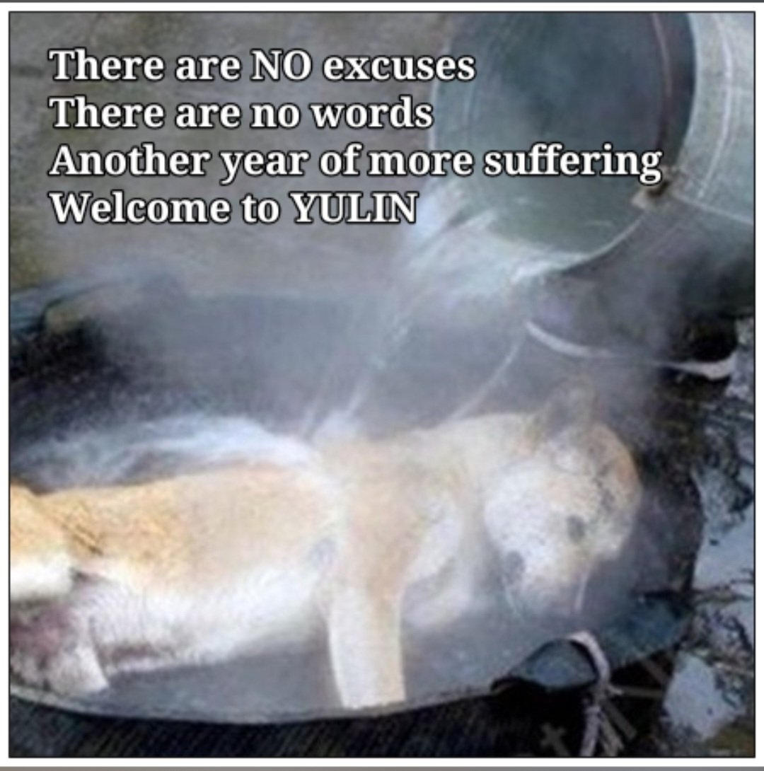 Today is the 26/05/23 in approx 26 days. The screaming at #Yulin will happen again. Right now, dog thieving gangs will be out stealing as many dogs as they can, snatched leads out of owners' hands. We have to support all the activists who fight to save so many.
#BanYulin