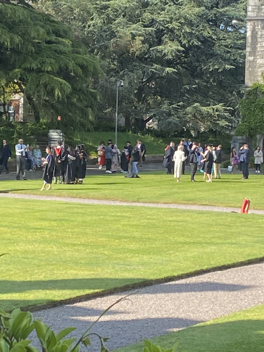 John O'Halloran tweet media