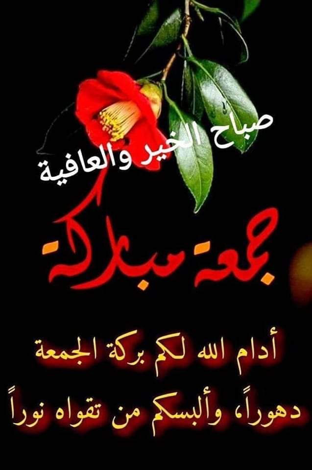 علي.العالي💎 tweet media