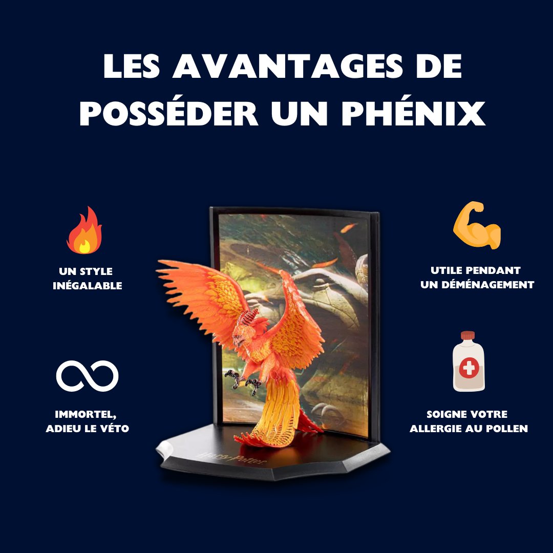 NobleCollFR's tweet image. 🔥 Qui possède un phénix à la maison ?

#HarryPotter #NobleCollectionFrance #NobleCollection