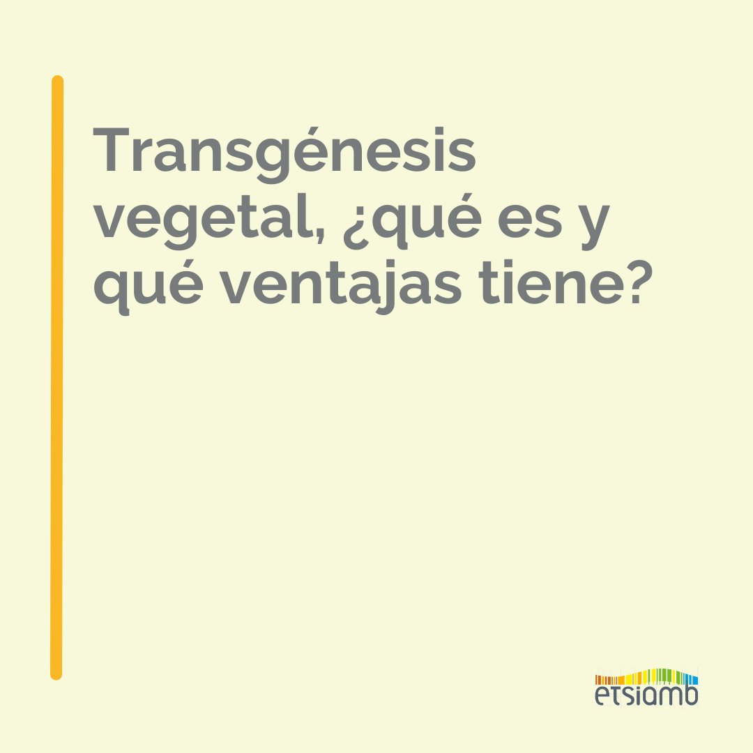 EtsiamAb's tweet image. ¿Sabías de qué se trata la 𝐭𝐫𝐚𝐧𝐬𝐠𝐞́𝐧𝐞𝐬𝐢𝐬 𝐯𝐞𝐠𝐞𝐭𝐚𝐥 y qué ventajas tiene? 🤔💭

#Etsiamb #Transgenesis #EtsiambAlbacete #Ingenieria #UCLM #Naturaleza #MedioNatural #Plantas #Animales #Master #MedioAmbiente