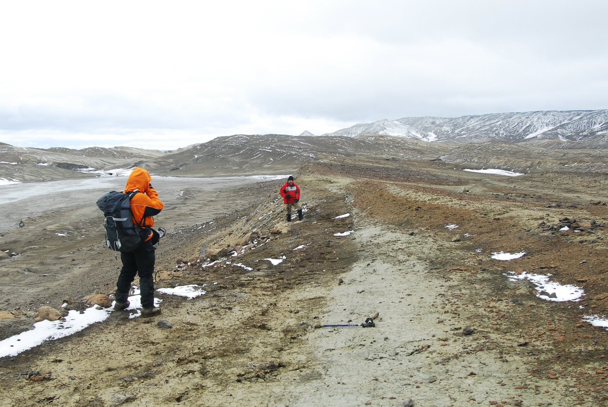 NEW JOB ALERT!! Antarctic Palaeobiologist, 3 year position with a focus on stable isotope sclerochronology, community ecology and fieldwork!

bas.ciphr-irecruit.com/applicants/vac…