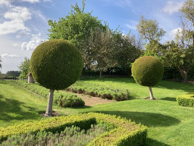 We are so lucky, working in such #beautifulgardens. #HelpingGardensThrive is our purpose, & it's great to know that our #gardenirrigationsystems play a part in maintaining such beauty!
#Englishgardens #topiary #irrigationforgardens #gardenirrigation #lawncare #gardenideas