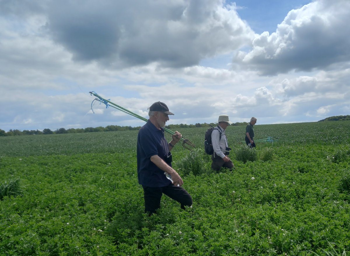 bustardgroup's tweet photo. We are busy searching for nesting Great Bustards.  The team has been out daily with our drone and conducted several follow-up searches on foot.  

If you have made any recent Great Bustard sightings around Salisbury Plain area, please message us.  We'd love to hear from you. https://t.co/yhfStYGIQ3