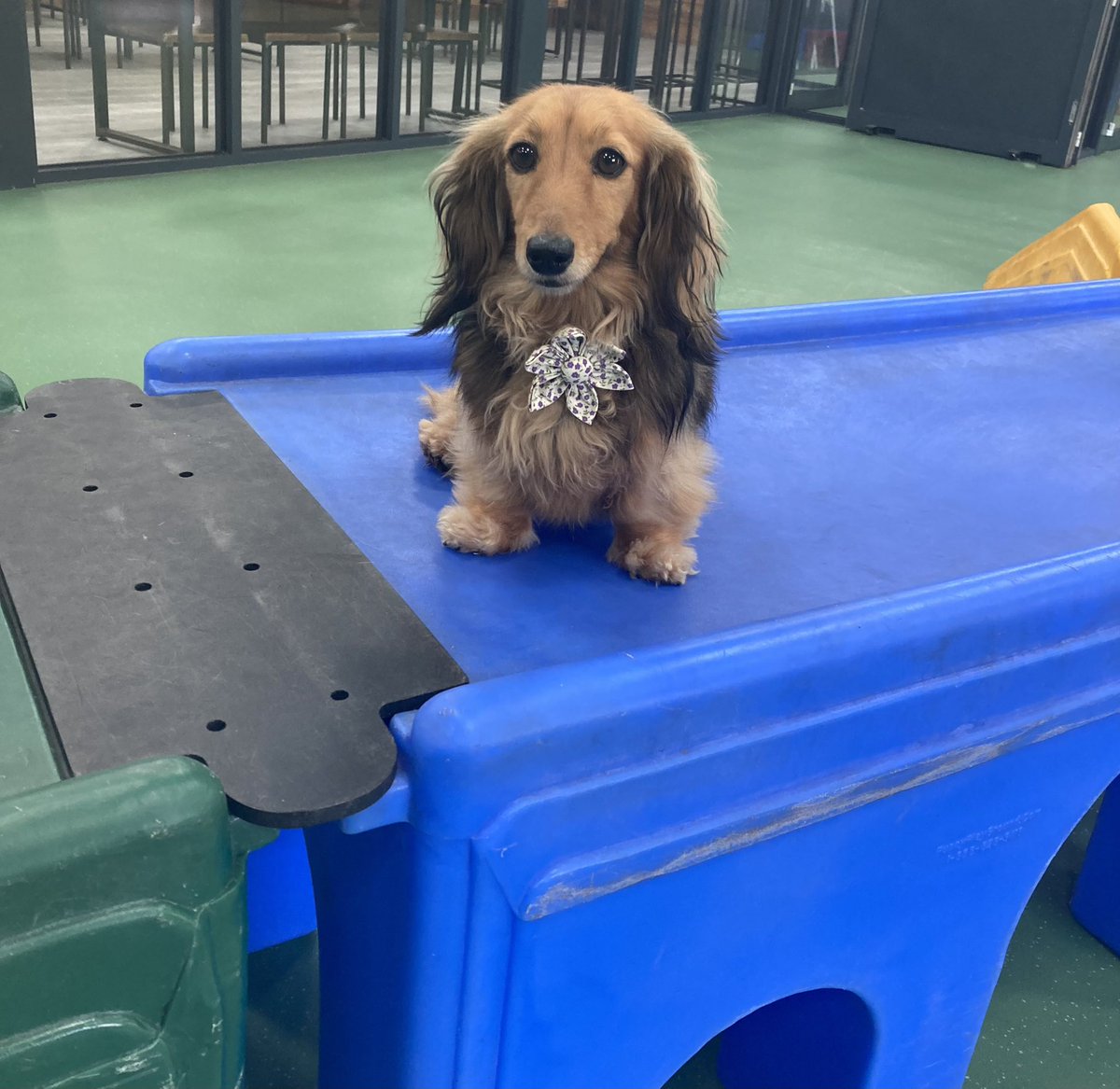 MinnietheMini tweet media