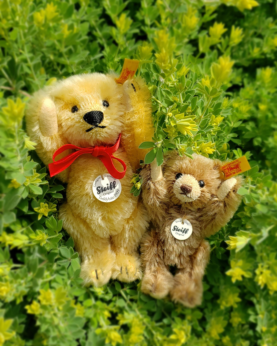 Steiff シュタイフ 茶道（SADOH）テディベア | fpfs.com.py