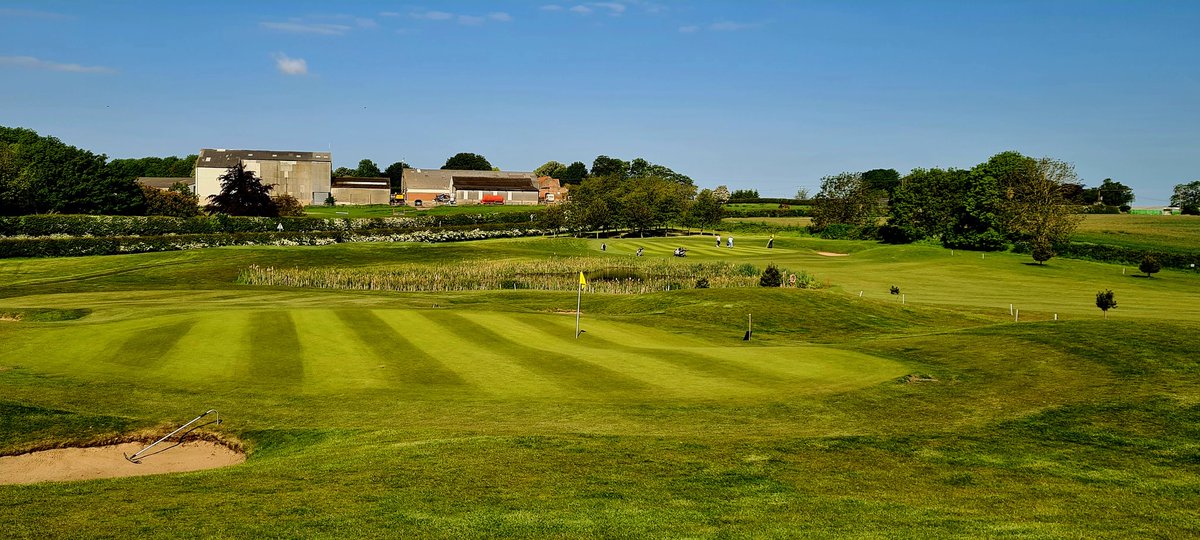 BCG Greenkeepers tweet media