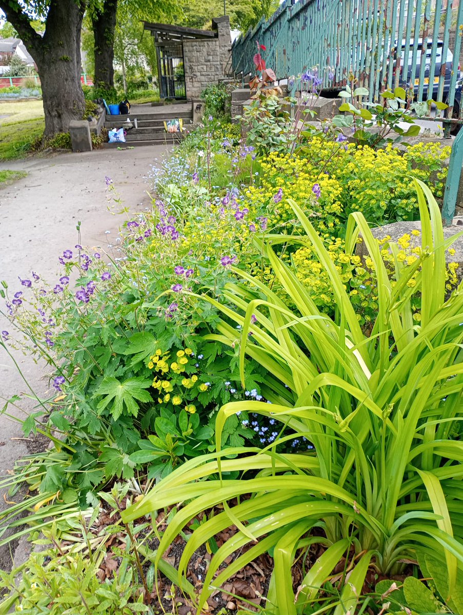 Pagets famous orange bags are helping Sarah and her team of Abbeyfield Park Gardeners keep Sheffield’s green space looking lovely this spring.