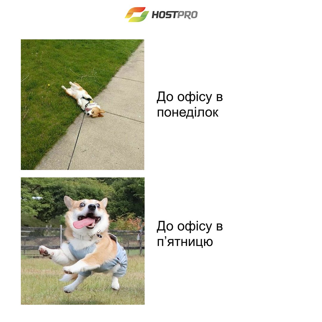 HostProUkraine's tweet image. 💻 😎 IT-меми тижня про офісне життя...

Якщо впізнали себе чи колег, насипте вподобайок 😉

#hostproua #itmemes  #мемиукраїнською #хостинг_для_сайту
