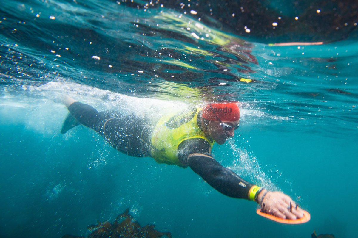 Torpedo SwimRun tweet media