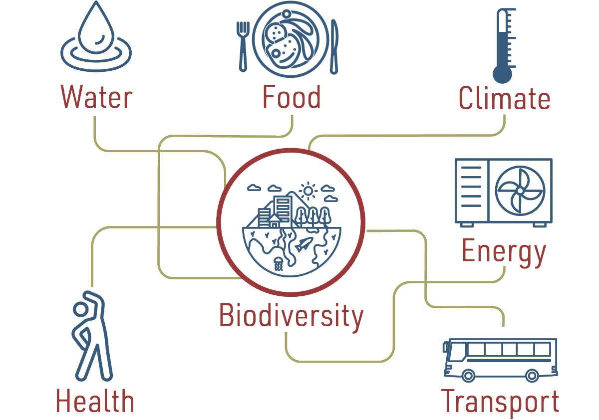 In the spotlight: the biodiversity nexus 💢

The #BiodiversityNexus demonstrates the diverse, intertwined relationships between people and nature. It shows how our resource use affects #nature and #biodiversity and vice versa. 🔁

Read more: bionext-project.eu/about