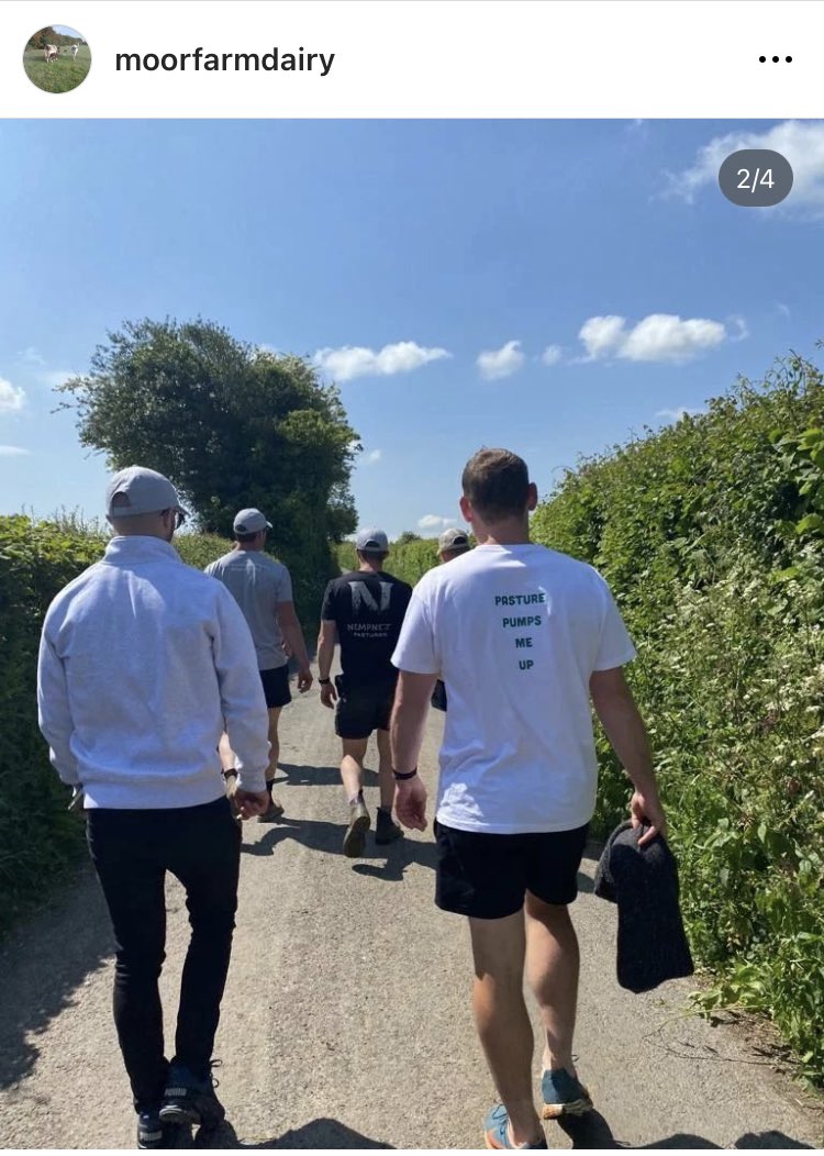 🎶 “The revolution is just a T Shirt away”🎶 <a href="/harrybelluk/">Maxwell Charollais</a> 

thepasturepod.myshopify.com