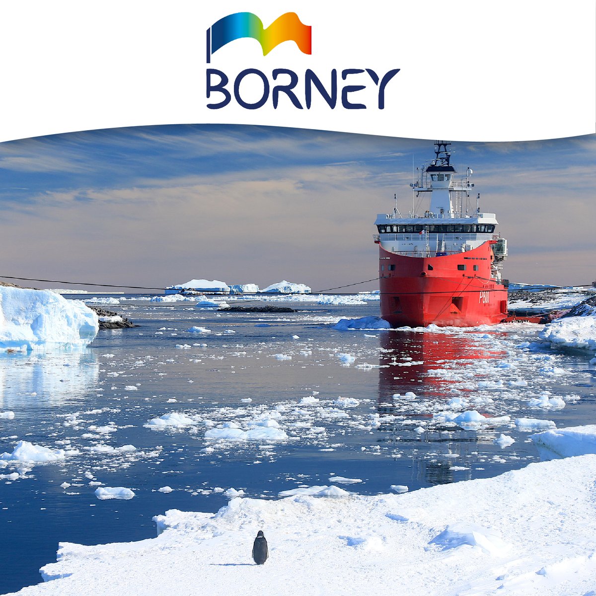 Borney Drapeaux tweet media