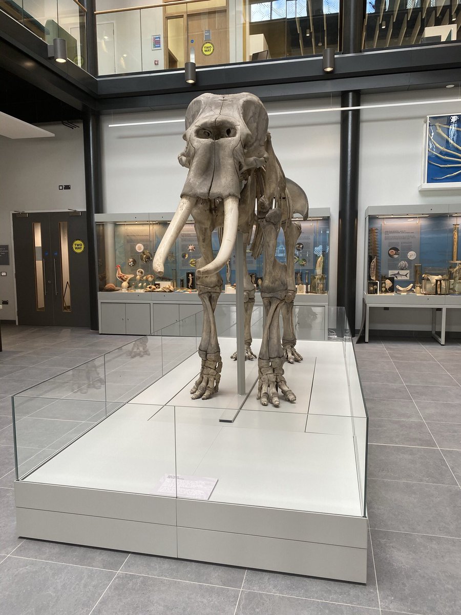 ColeZoology photo