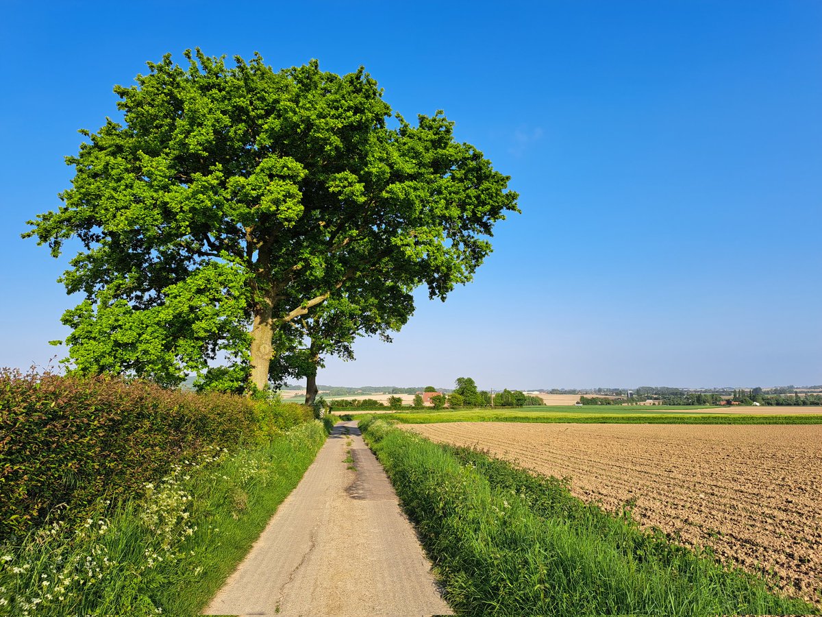 De natuur van Frans-Vlaanderen is prachtig! Klaar om te wandelen? Mijn reisgids helpt je! ontdekfransvlaanderen.wordpress.com/2022/11/17/rei…