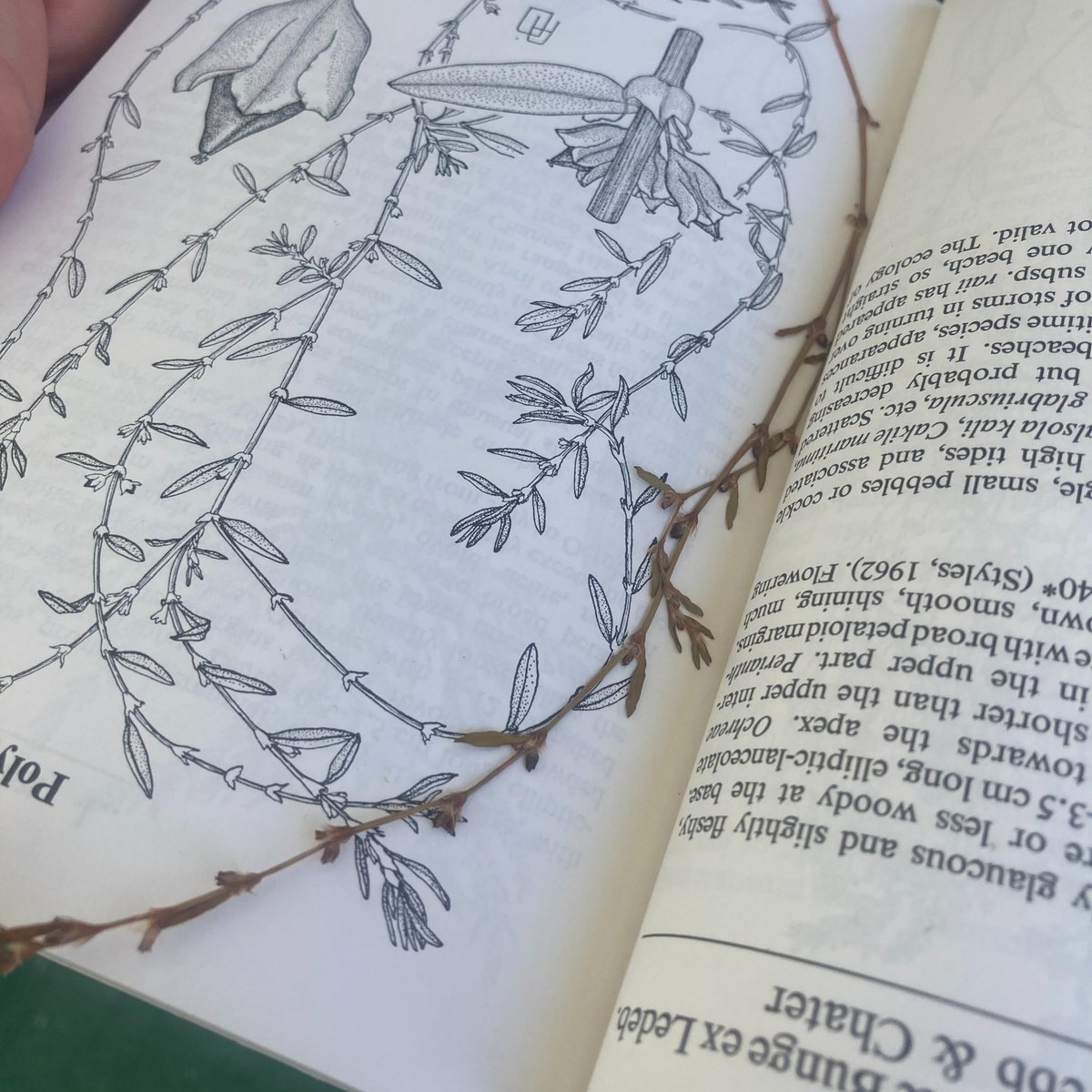 National Trust tweet media