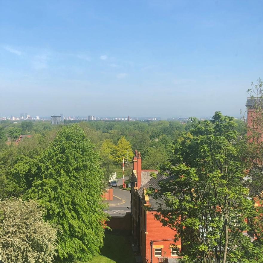 Happy Friday! Take a moment to appreciate the view from our Tailored offices. 🙂

#OfficeView #DeskGoals #WorkSpace #WorkView #DeskView #OfficeLife #Tailored #OfficeScenery #WindowSeat