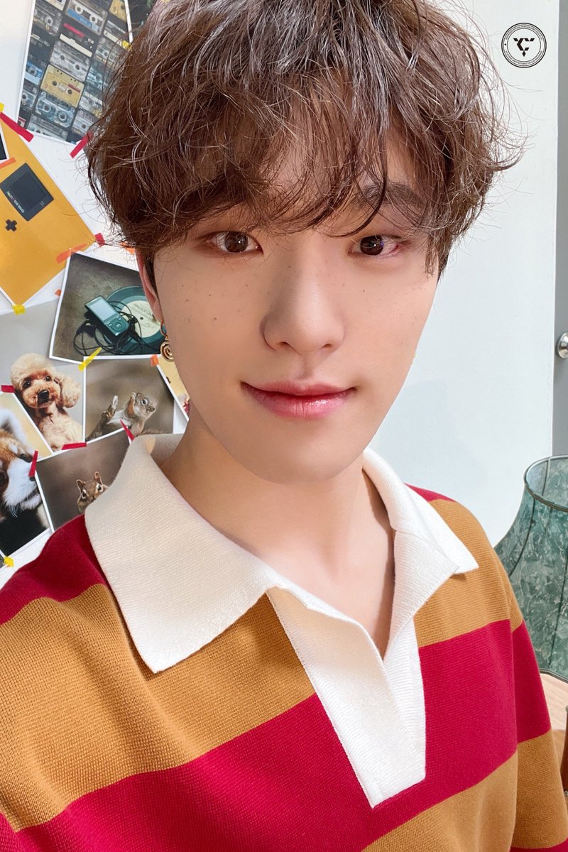 HAPPY SVT DAY 💐💎 
8주년 기념 셀카 #디노