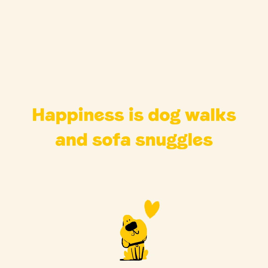 We're pretty easily pleased 😂 What would you add to the list? 🐶💛