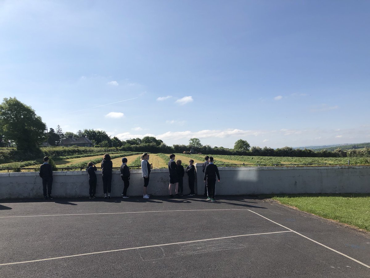 Concentration levels a little off this morning… #silage