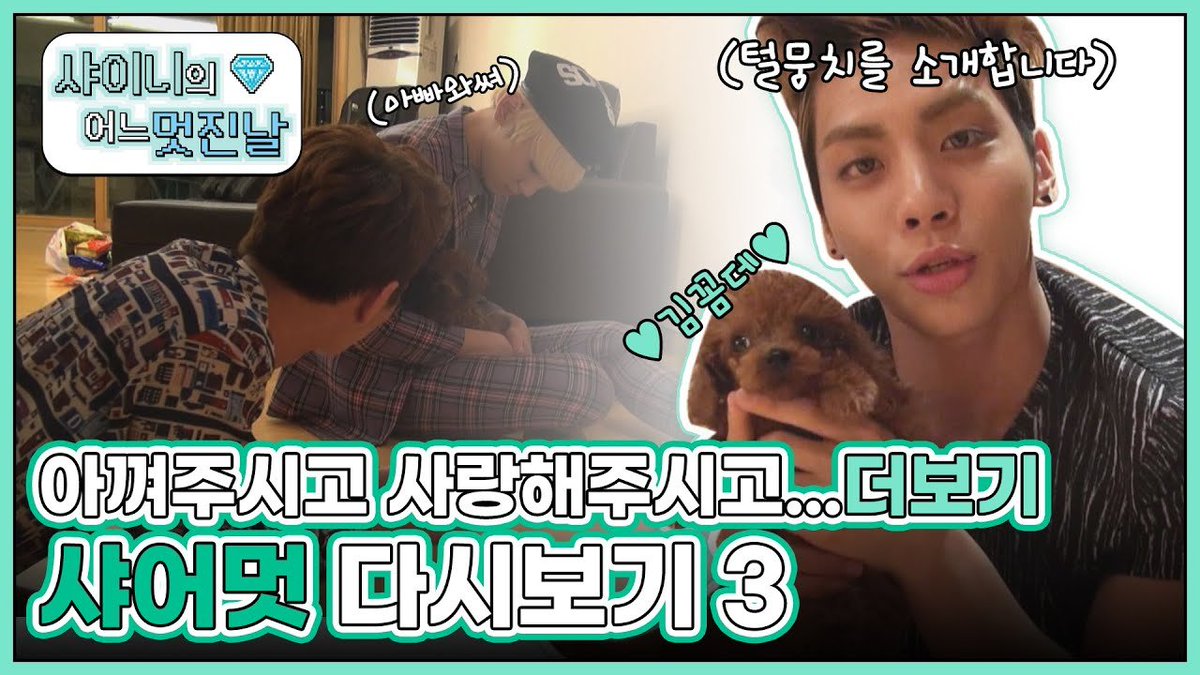 [샤이니의 어느 멋진날] 샤어멋 온유, 종현, KEY 다시보기 3 샤어멋을 아껴주시고 성원해주시고 사랑해주시고 웃어주시고 계속 찾아봐주시고...더보기...