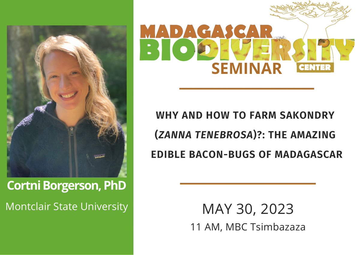 Madagascar Biodiversity Center (@mbc_madagascar) on Twitter photo 😋Te hahafantatra momba ny bibikely matsiro toy ny henakisoa ve? Izay indray ny lohahevitra miaraka <a href="/CortniBorgerson/">Cortni Borgerson</a>, <a href="/montclairstateu/">Montclair State University</a>
#edibleinsects #insectfarming #malnutrition #Madagascar
🗓️Talata 30 Mey 🕚 11:00
📌MBC Tsimbazaza
Zoom link: uwmadison.zoom.us/j/96651580642 😋Te hahafantatra momba ny bibikely matsiro toy ny henakisoa ve? Izay indray ny lohahevitra miaraka <a href="/CortniBorgerson/">Cortni Borgerson</a>, <a href="/montclairstateu/">Montclair State University</a>
#edibleinsects #insectfarming #malnutrition #Madagascar
🗓️Talata 30 Mey 🕚 11:00
📌MBC Tsimbazaza
Zoom link: uwmadison.zoom.us/j/96651580642