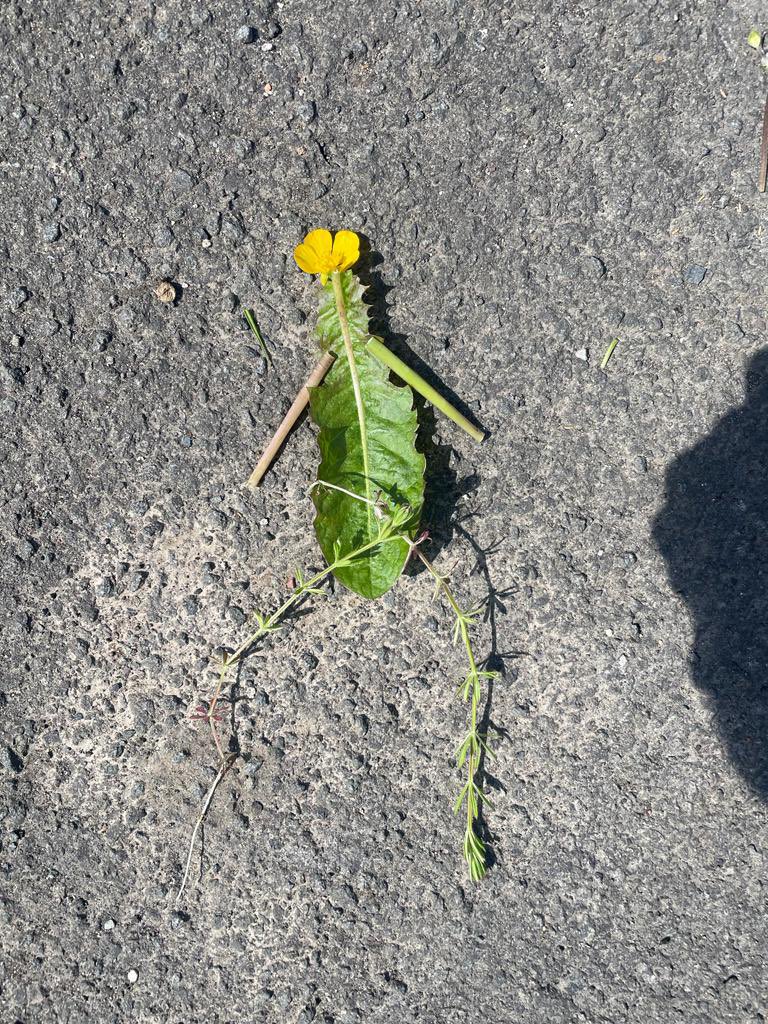 deery_karen's tweet photo. #clydegoexplore @clydeprimary even the sun was on our side for the best inset activity, ever. Lots of ideas for outdoor learning and exploring the local community. https://t.co/r0QWAQ0WE0