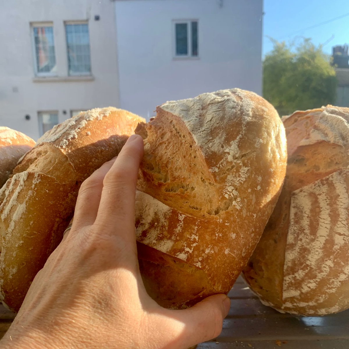 Who wants one of these for their lunch? 
Got a lot of bread on the shelf for you. 
Why not swing by and grab some..?
#shoplocal #shopsocial #realbread
