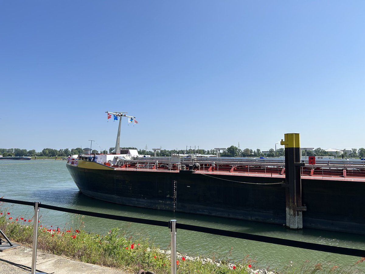 ZDF Landesstudio Rheinland-Pfalz tweet media