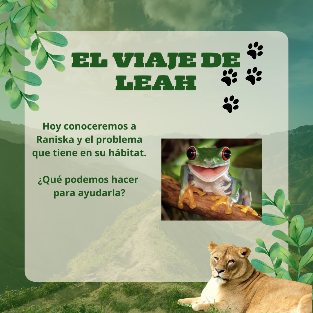 El viaje de Leah tweet media