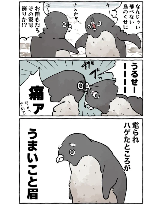 アデリーペンギン同士の喧嘩で、毟られハゲたところが眉になる話もたまらなく好きです 産経フォト記事