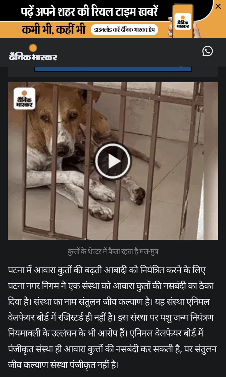 tarana2510's tweet photo. @AmbikaShukla15 @julie_dutto @Pfa_AntiCruelty @_mishra_preeti @CharuPragya @ipskabra @asharmeet02 @PetaIndia @gauri_maulekhi @PIB_India @Dept_of_AHD @PRupala @Manekagandhibjp @pfaindia @rashmigautam27 @RobRobbEdwards @_AnimalAdvocate @dr_arpit_jain @my_nmc @nashikpolice @SPNashikRural @AwbiBallabhgarh @TOINashikNews @InfoDivNashik @CMOMaharashtra @abpmajhatv @InfoNashik @MahaDGIPR @Info_Pune @InfoDhule @ranjitrajput55 @fadnavis_amruta @ANI @Marathi_Rash @amritabhinder @visually_kei @yogitabhayana @SaurabhbMT @Mahendra_Sakal @pankhuripathak @NANA_PATOLE @PawarSpeaks @nagarnigamrudra @JaipurNigam @presidentVCI Patna municipality receives reminder fromAWBI to cancel ABC tender to unauthorised agency-संतुलन जीव कल्याण mentioned throughout this🧵 
Evidence of mismanagement of programme surfaces
When will @PMCBihar take the necessary action?
CC @AwbiBallabhgarh @himansulive @Iyervval @ANI https://t.co/n1tjttMkJN