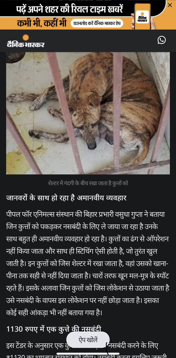 tarana2510's tweet photo. @AmbikaShukla15 @julie_dutto @Pfa_AntiCruelty @_mishra_preeti @CharuPragya @ipskabra @asharmeet02 @PetaIndia @gauri_maulekhi @PIB_India @Dept_of_AHD @PRupala @Manekagandhibjp @pfaindia @rashmigautam27 @RobRobbEdwards @_AnimalAdvocate @dr_arpit_jain @my_nmc @nashikpolice @SPNashikRural @AwbiBallabhgarh @TOINashikNews @InfoDivNashik @CMOMaharashtra @abpmajhatv @InfoNashik @MahaDGIPR @Info_Pune @InfoDhule @ranjitrajput55 @fadnavis_amruta @ANI @Marathi_Rash @amritabhinder @visually_kei @yogitabhayana @SaurabhbMT @Mahendra_Sakal @pankhuripathak @NANA_PATOLE @PawarSpeaks @nagarnigamrudra @JaipurNigam @presidentVCI Patna municipality receives reminder fromAWBI to cancel ABC tender to unauthorised agency-संतुलन जीव कल्याण mentioned throughout this🧵 
Evidence of mismanagement of programme surfaces
When will @PMCBihar take the necessary action?
CC @AwbiBallabhgarh @himansulive @Iyervval @ANI https://t.co/n1tjttMkJN
