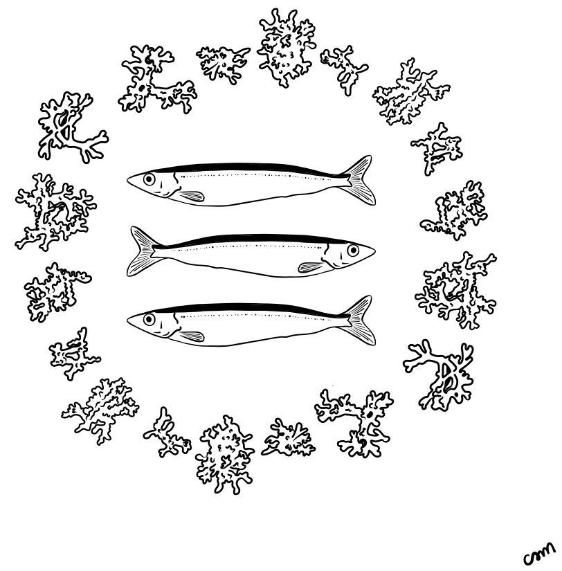 AskjaFriday's tweet photo. TODAY‼️ Einar Pétur Jónsson, working at Hafrannsóknastofnun @MFRI_Iceland will present "How can we assess the impacts of multiple stressors in marine habitats?" See you all in Askja N128 at 12:30 and on Zoom: https://t.co/CHHxCG5YLL https://t.co/6V5qvBlexC