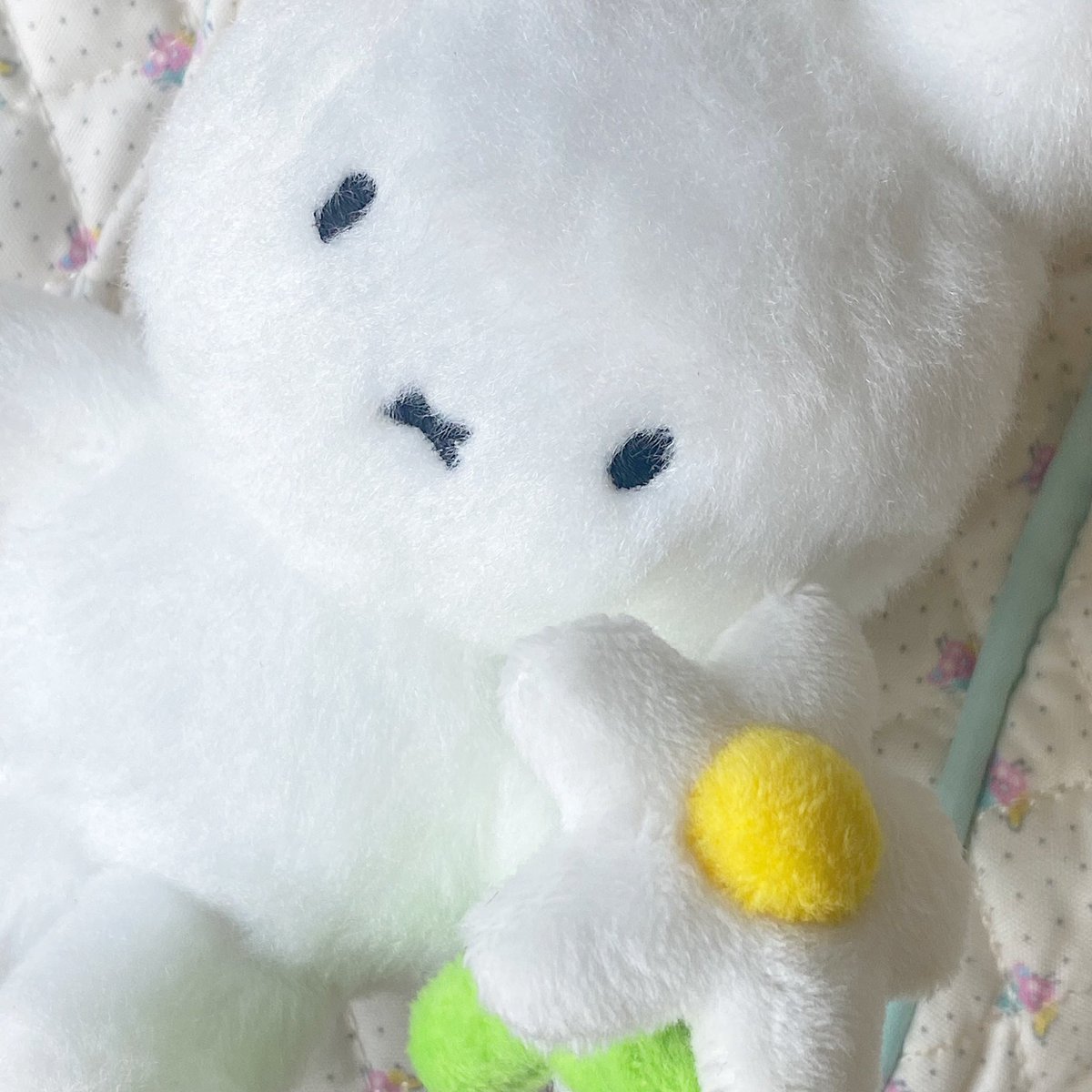 𝐠𝐞𝐨𝐫𝐠𝐢𝐞𝐡𝐚𝐞 🐈‍⬛✨🫧💞 tweet media